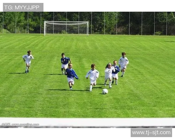 足球明星保险全解析：保障球员健康风险与职业生涯的全方位保障方案